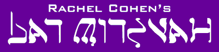 Bat Mitzvah 2 Banner